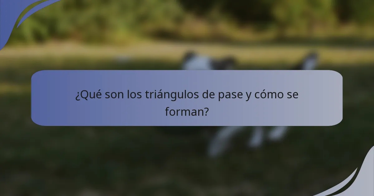 ¿Qué son los triángulos de pase y cómo se forman?